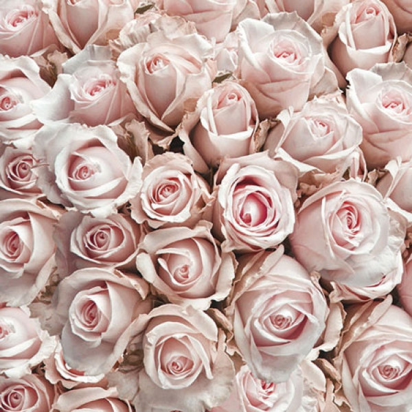 Servietten vintage Rosen für Ihre Feier