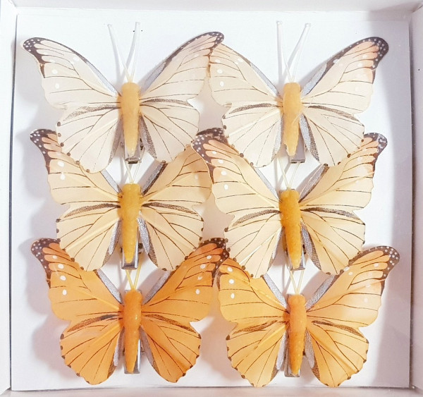 Schmetterlinge in Orangetönen mit einer Klammer