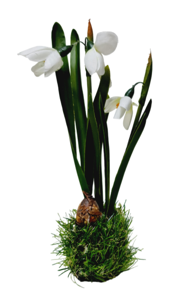 Blumendeko - Schneeglöckchen als Strauß. Blumendekoration Tischdeko-online 1