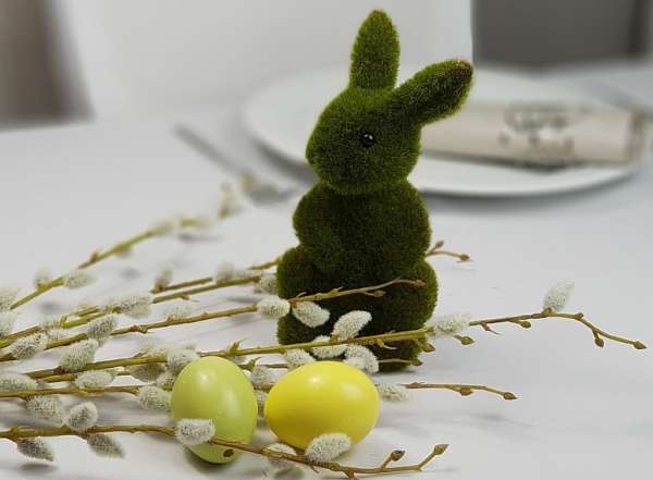 Weidekätzchenzweige für eine stimmungsvolle Frühlingsdeko - 2 Weidekätzchenzweige für eine stimmungsvolle Frühlingsdeko - 2