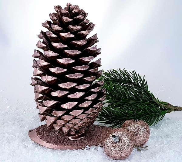 XXL-Zapfen (Pinus Maritima) auf einer Holzscheibe in vier Farben - B6